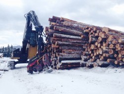 Full Phase Logging photo